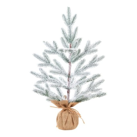 PINETTO WHITE SPRUCE CM.45